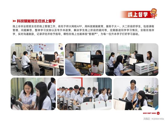 东专升本培训行业标杆师大教育专升本丨山(图13)